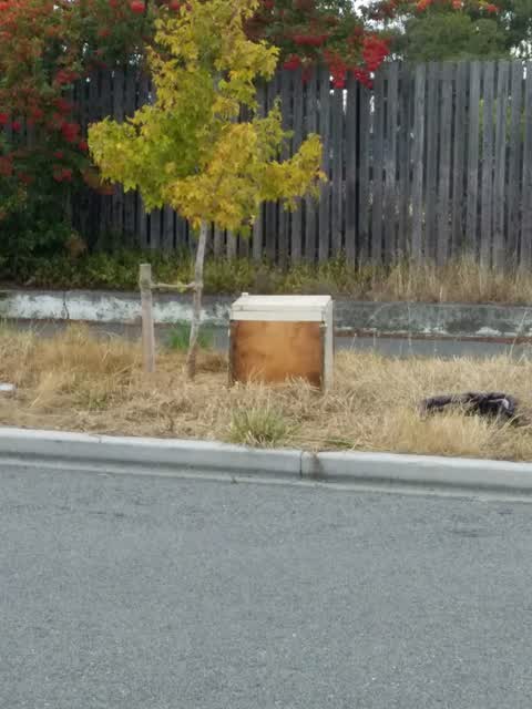 Rubbish/Recycling, a report photo