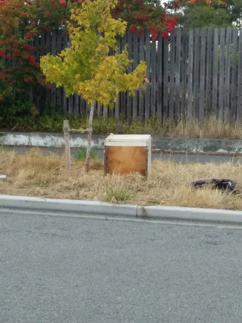 The photograph attached to this rubbish/recycling report