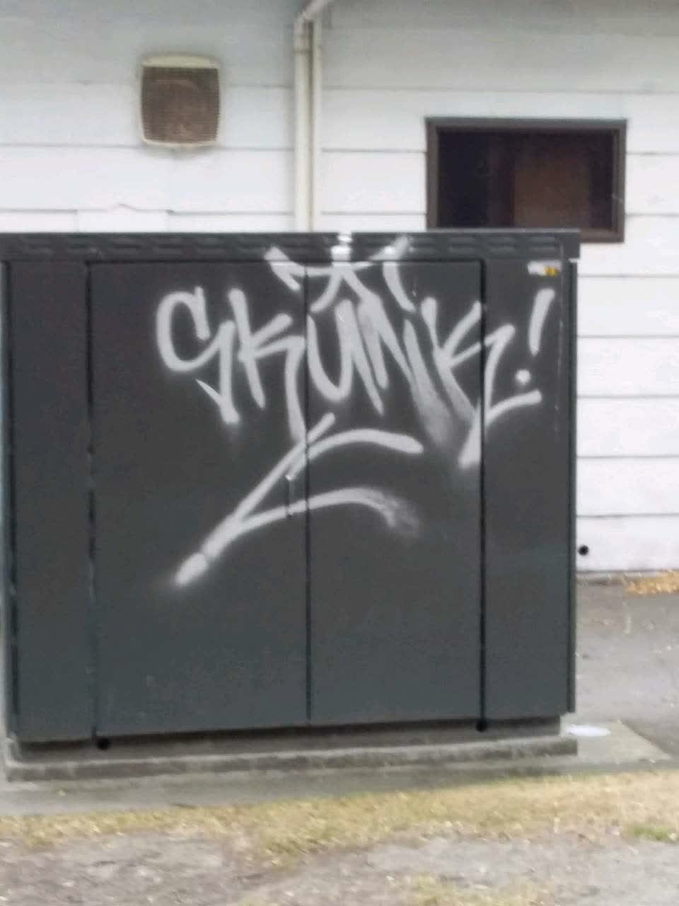 The photograph attached to this graffiti report