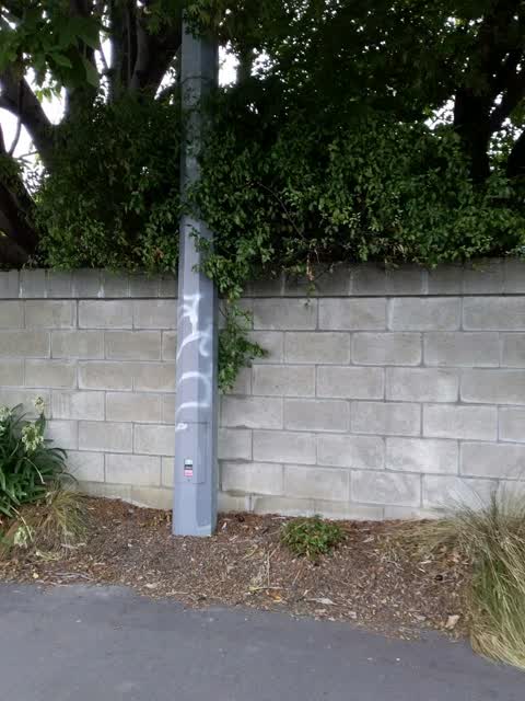 Graffiti, a report photo