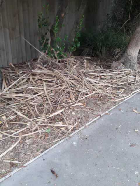Parks, a report photo