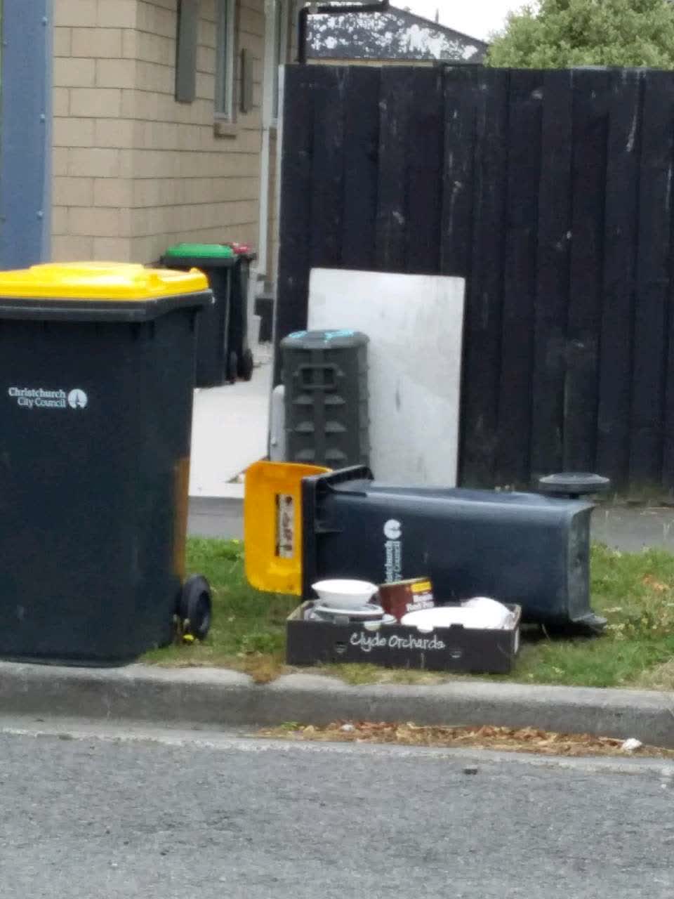 The photograph attached to this rubbish/recycling report