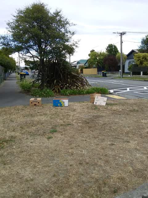 Rubbish/Recycling, a report photo