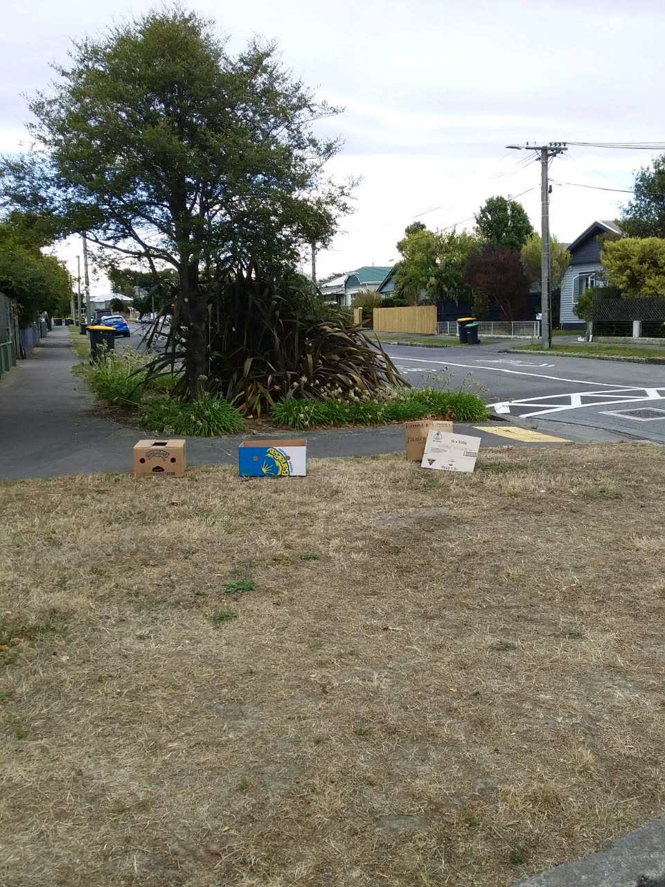 The photograph attached to this rubbish/recycling report