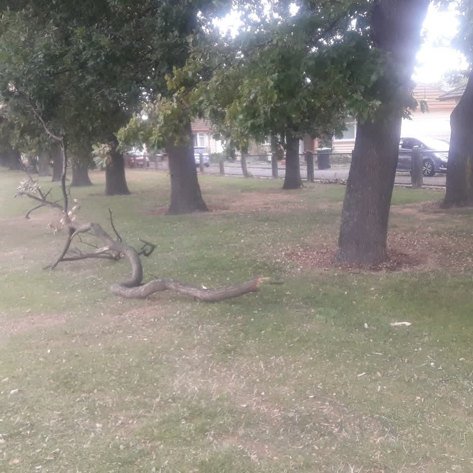 The photograph attached to this parks report