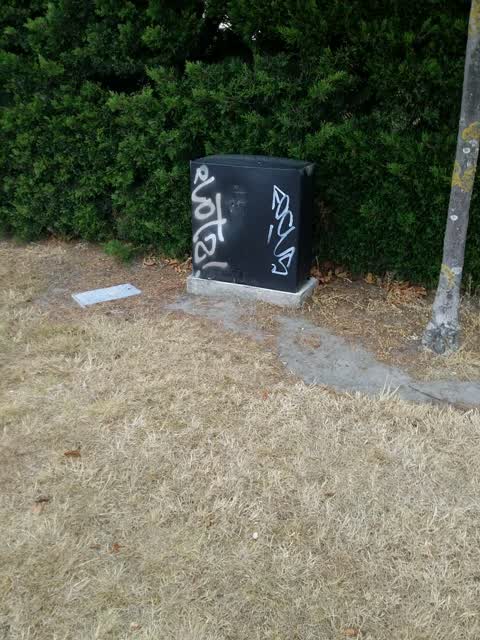 Graffiti, a report photo