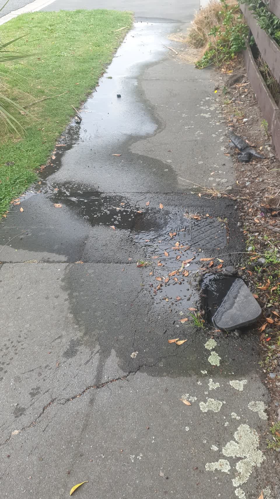 The photograph attached to this water supply report