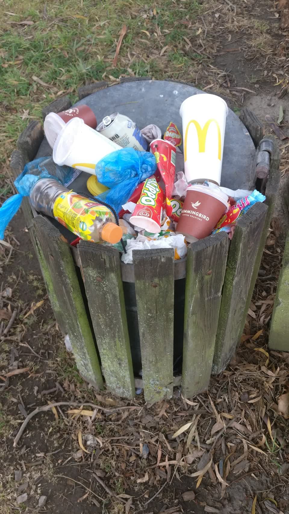 The photograph attached to this parks report