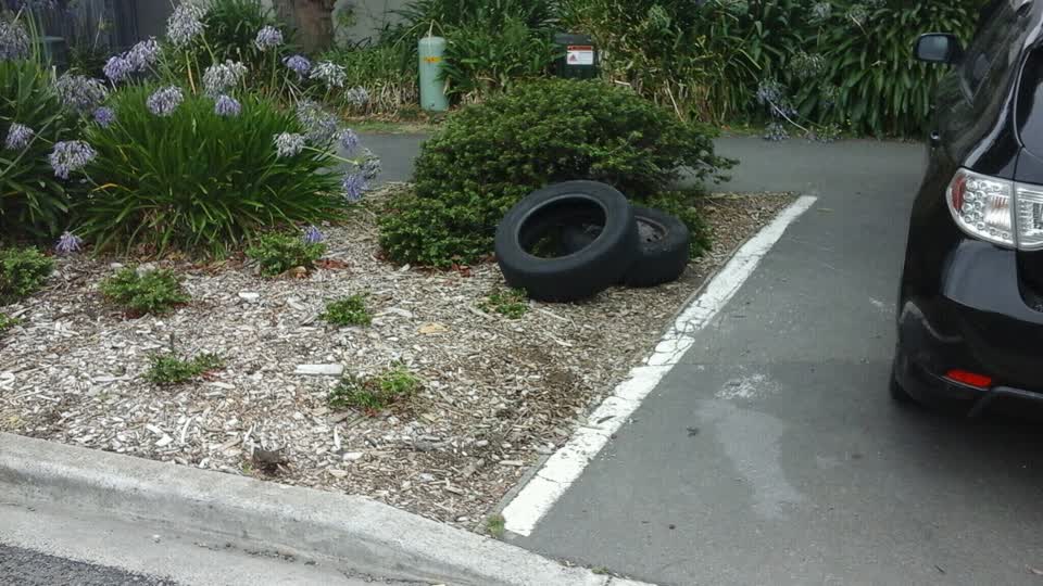 The photograph attached to this rubbish/recycling report