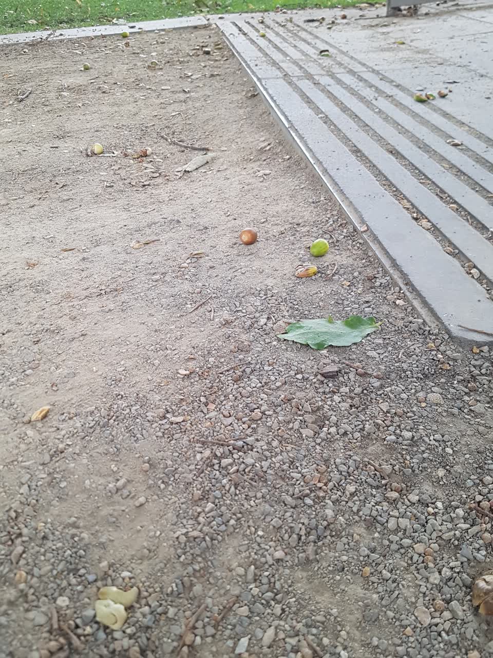 The photograph attached to this parks report