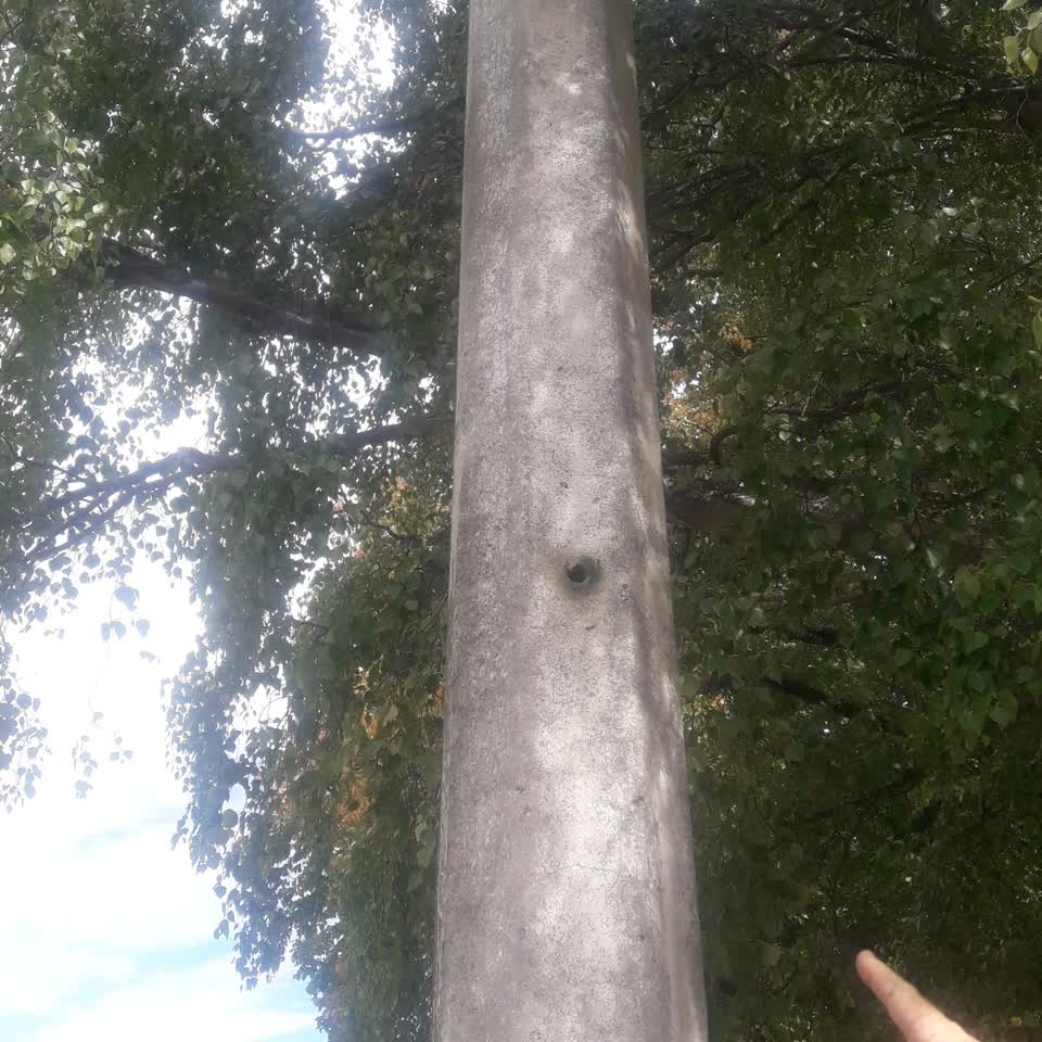 The photograph attached to this parks report