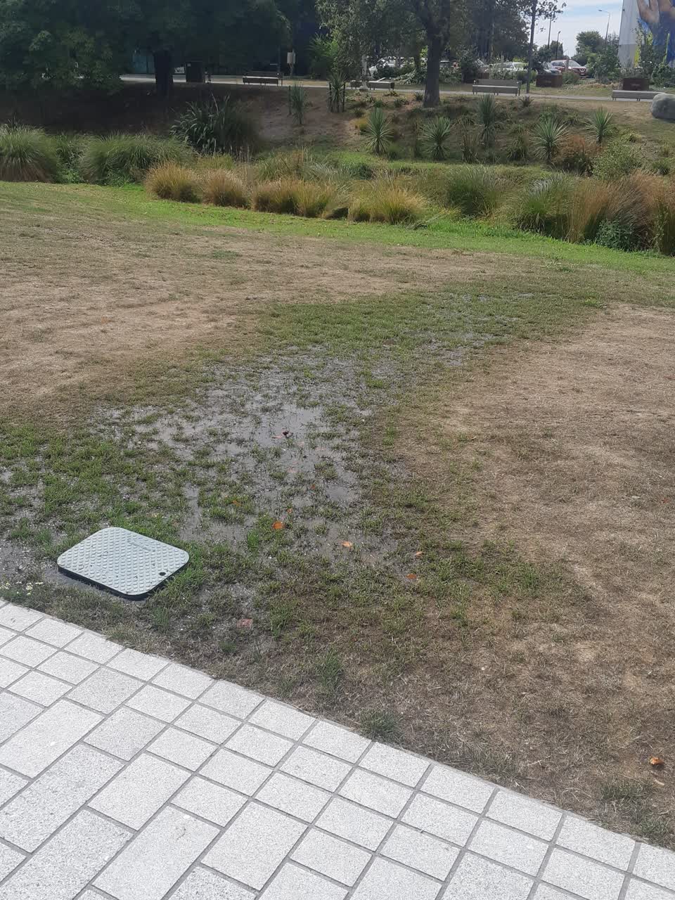 The photograph attached to this parks report