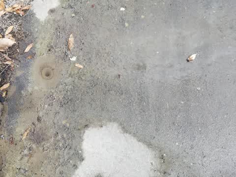 Flooding, a report photo
