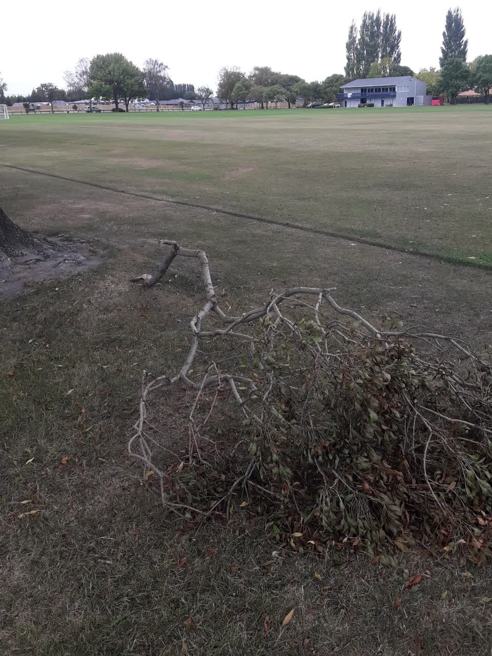 The photograph attached to this parks report