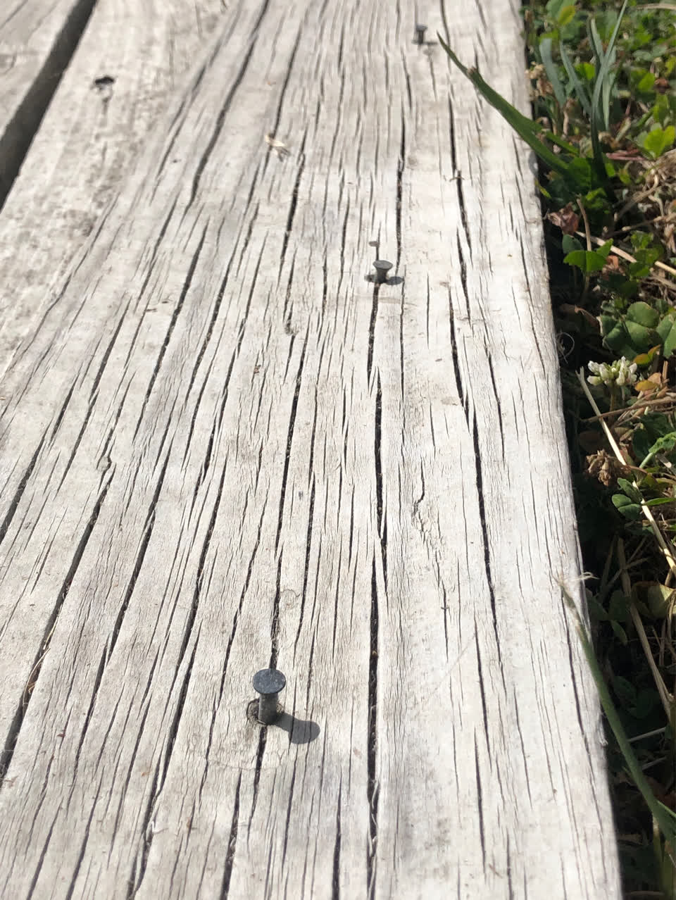 The photograph attached to this parks report