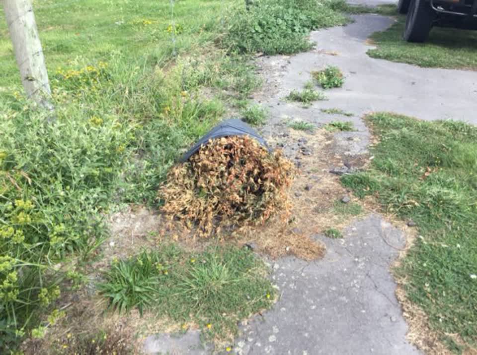 The photograph attached to this rubbish/recycling report