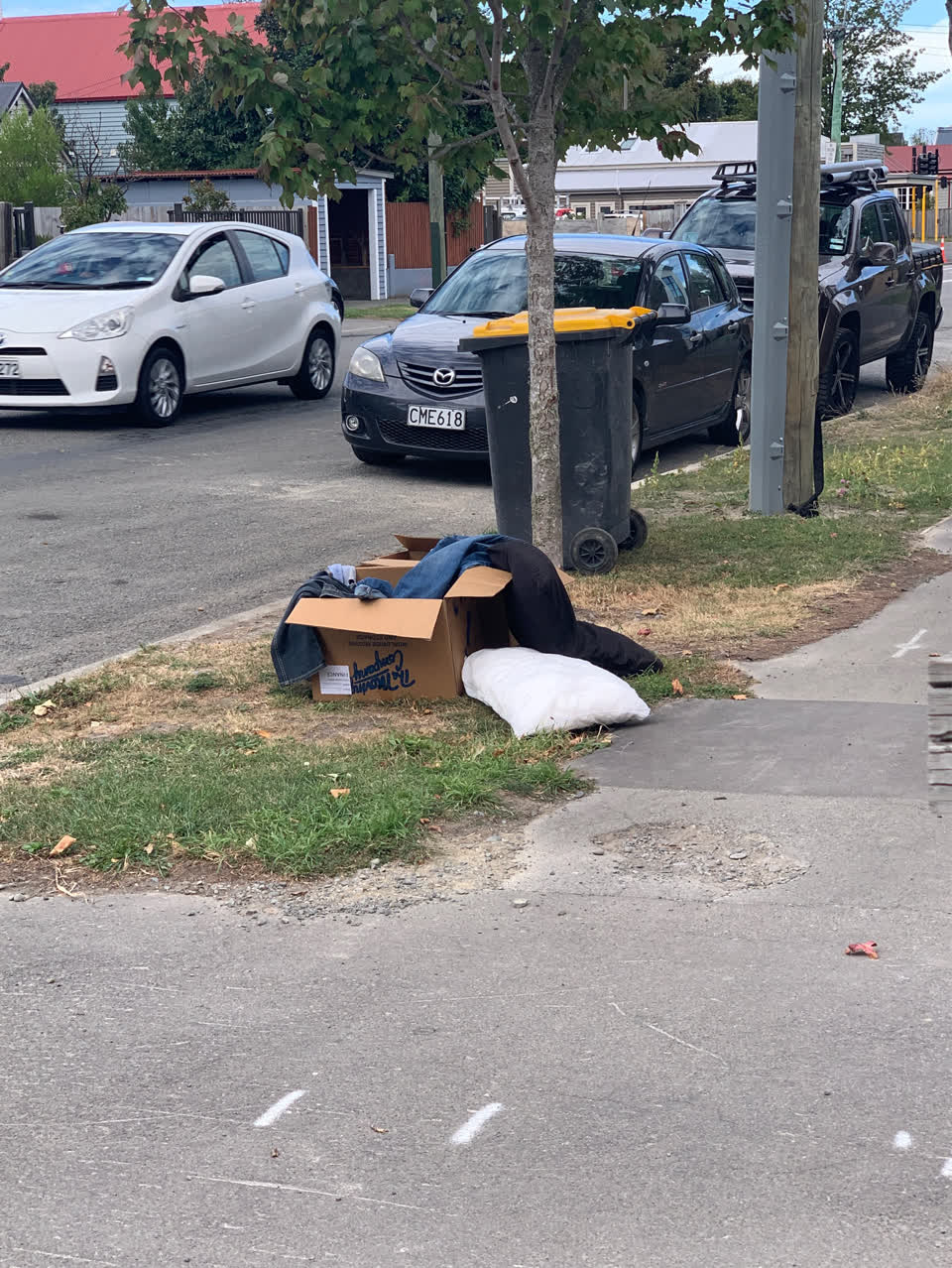 The photograph attached to this rubbish/recycling report