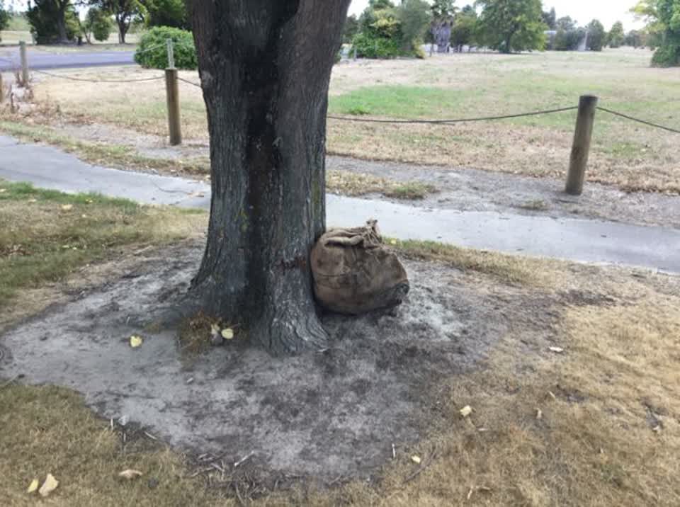 The photograph attached to this rubbish/recycling report