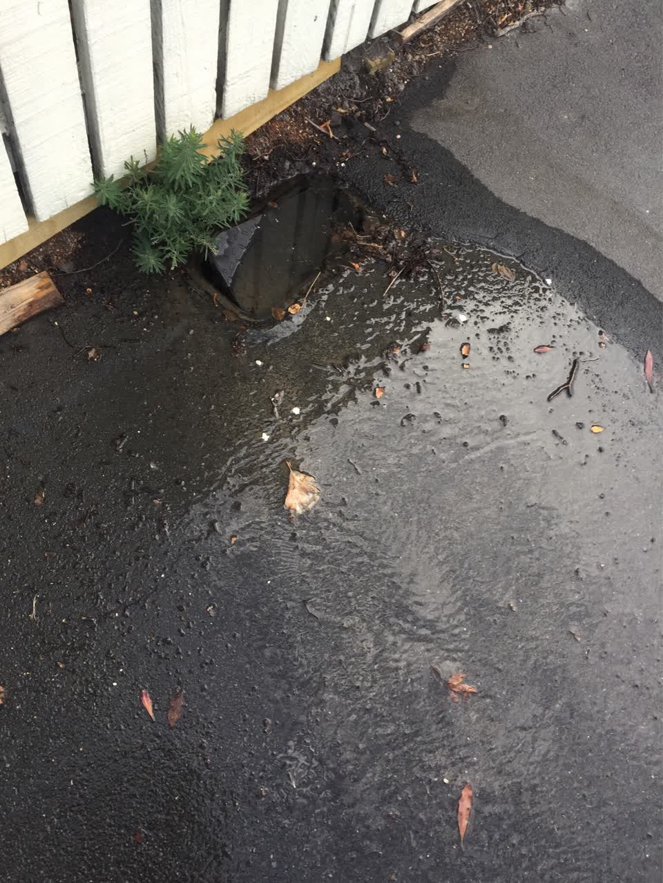 The photograph attached to this water supply report