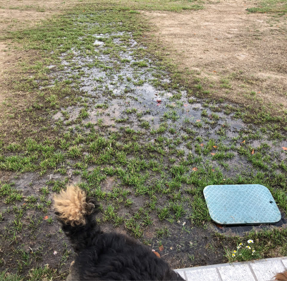 The photograph attached to this water supply report