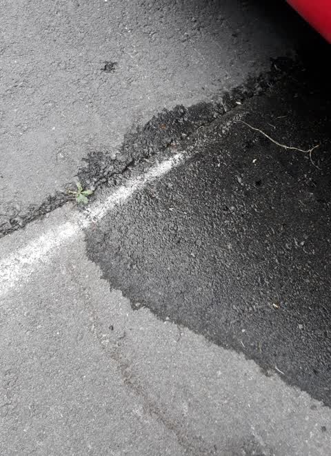 Water Supply, a report photo