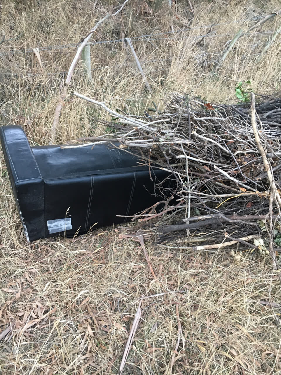 The photograph attached to this rubbish/recycling report