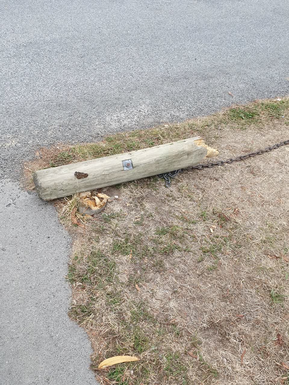 The photograph attached to this parks report