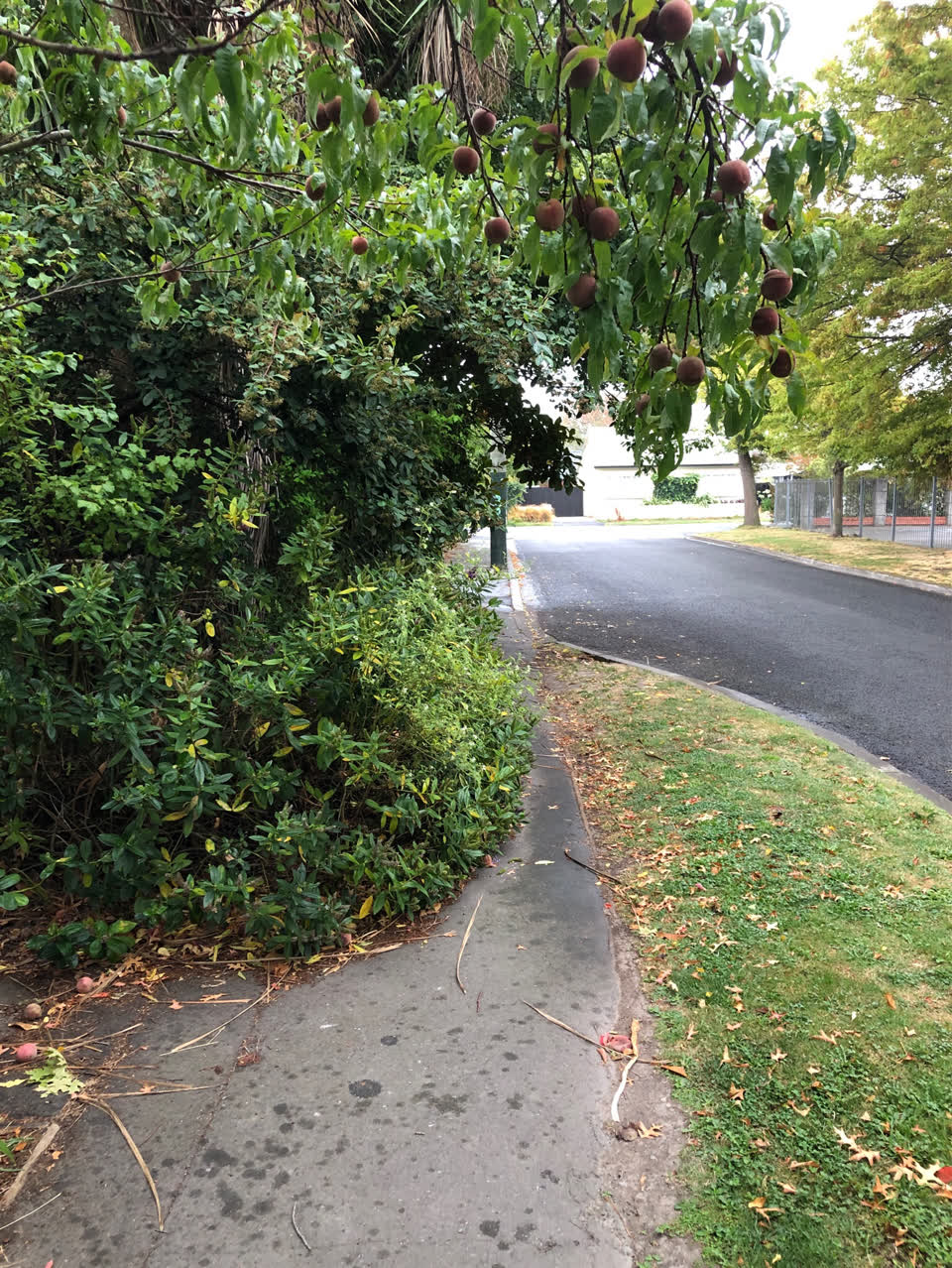 The photograph attached to this roading/streets report