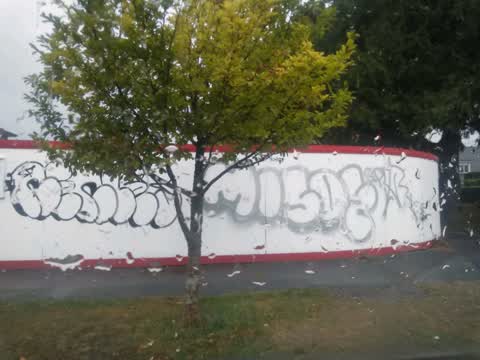 Graffiti, a report photo