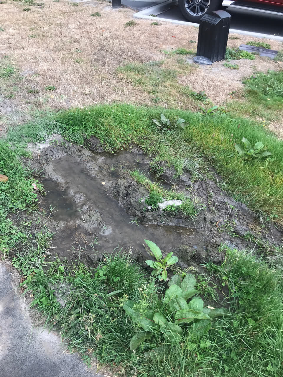 The photograph attached to this water supply report
