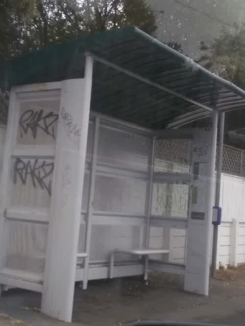 Graffiti, a report photo