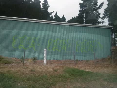 Graffiti, a report photo