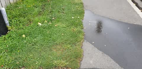 Water Supply, a report photo