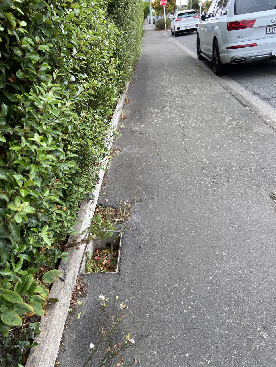 The photograph attached to this roading/streets report