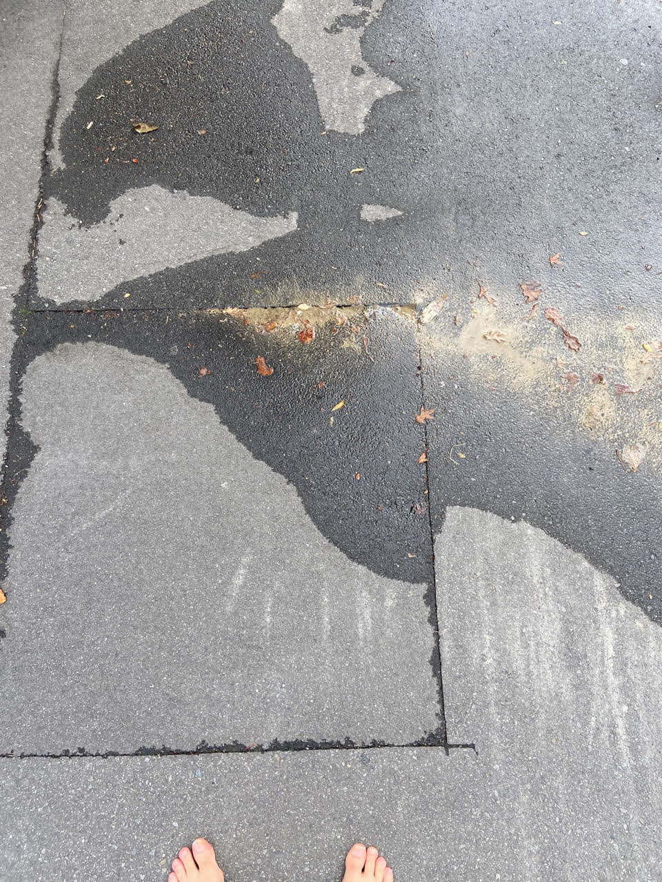 The photograph attached to this water supply report