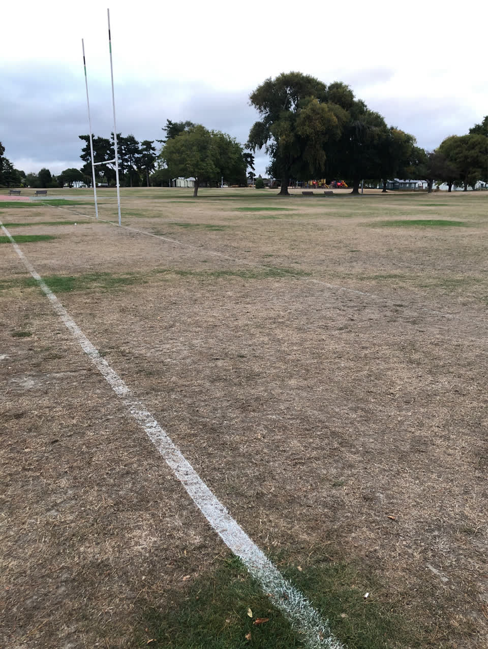 The photograph attached to this parks report