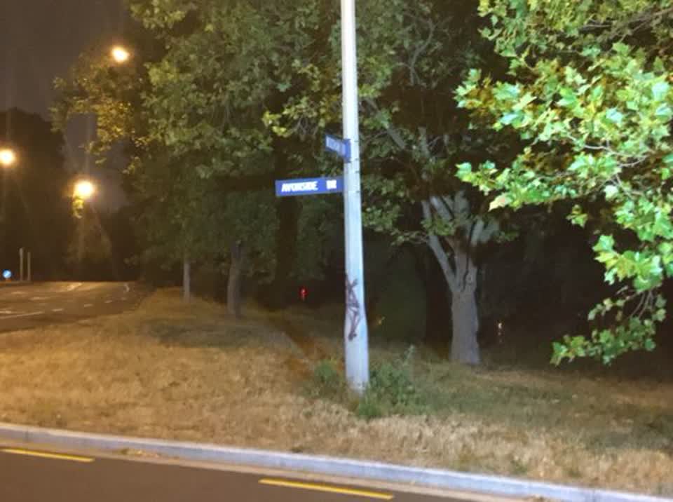 The photograph attached to this graffiti report