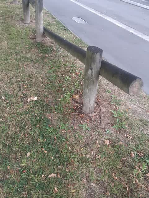 Parks, a report photo