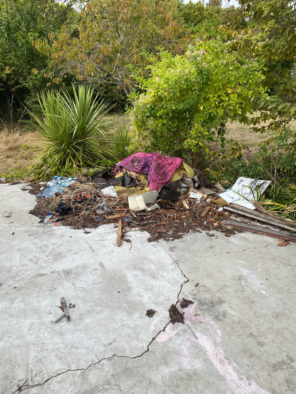 The photograph attached to this rubbish/recycling report