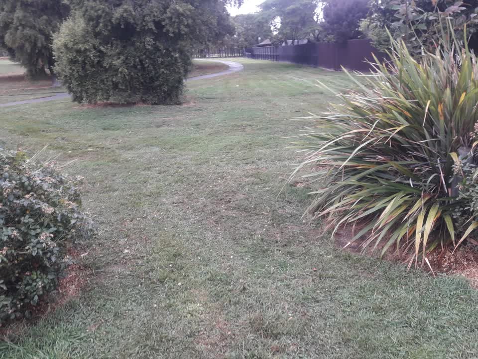 The photograph attached to this parks report