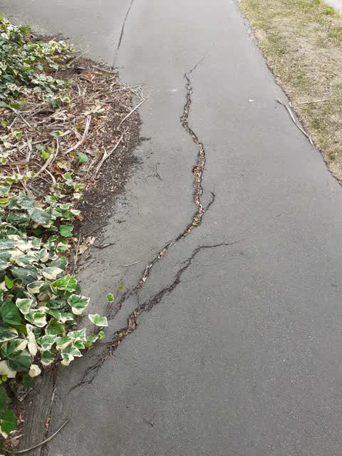 Roading/Streets, a report photo