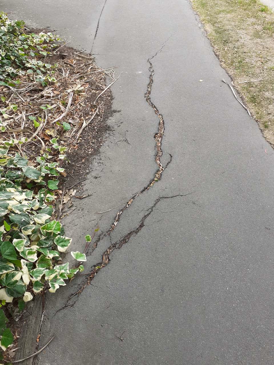 The photograph attached to this roading/streets report
