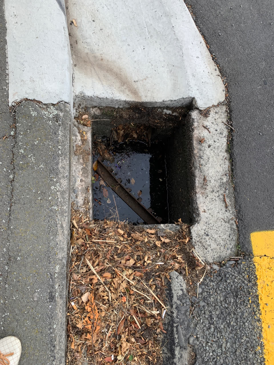 The photograph attached to this roading/streets report