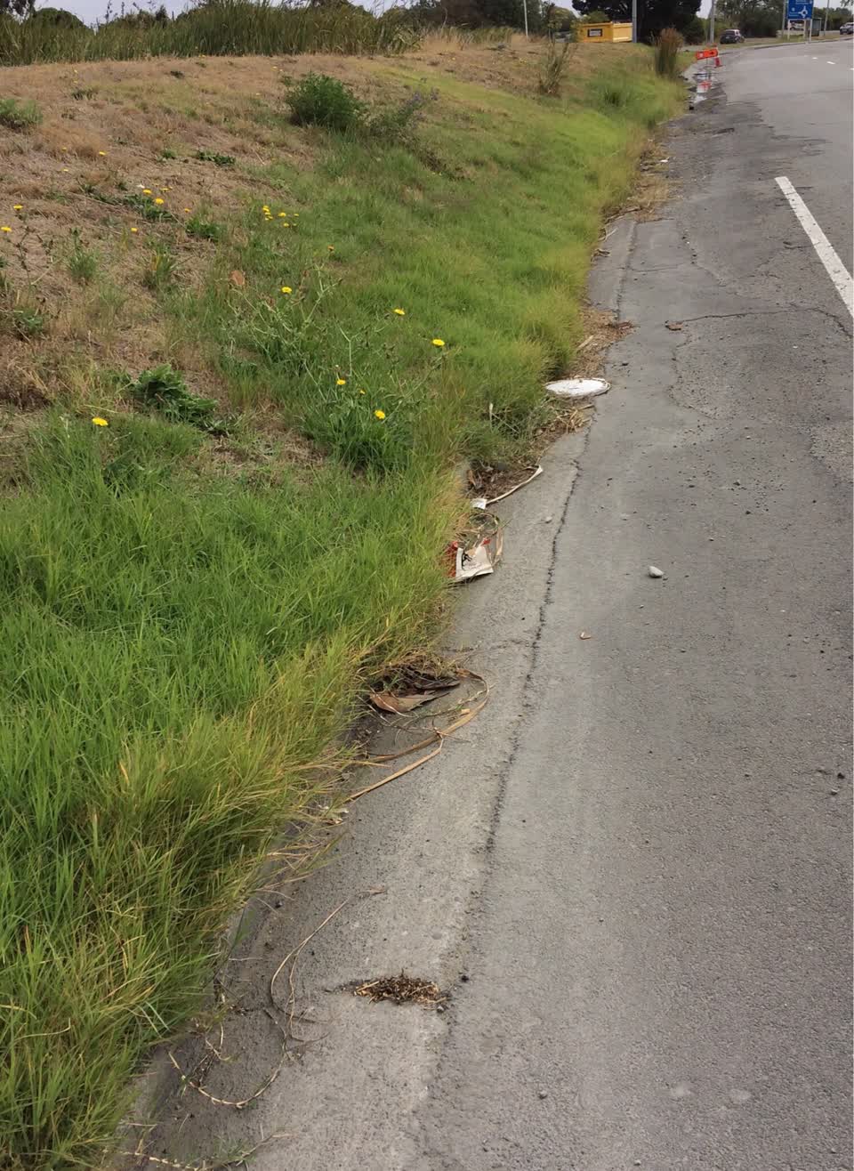 The photograph attached to this roading/streets report
