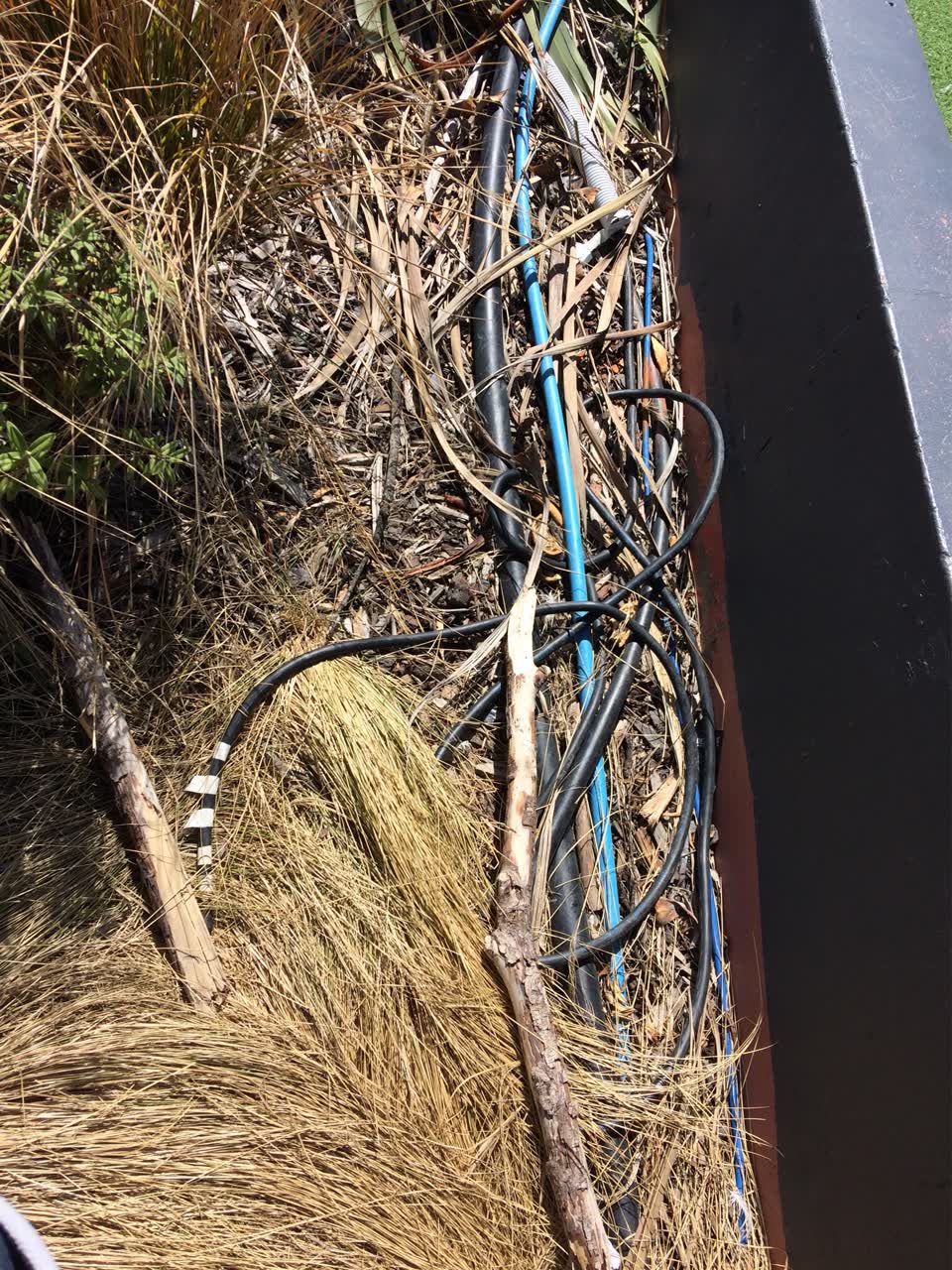 The photograph attached to this parks report