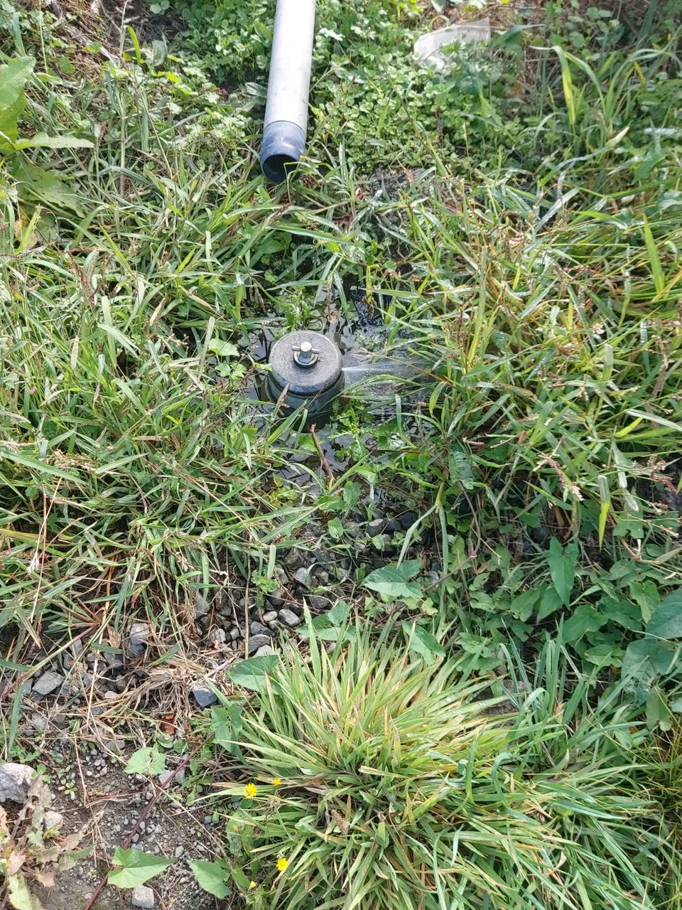 The photograph attached to this water supply report