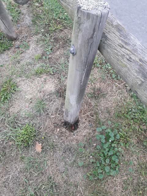 Parks, a report photo
