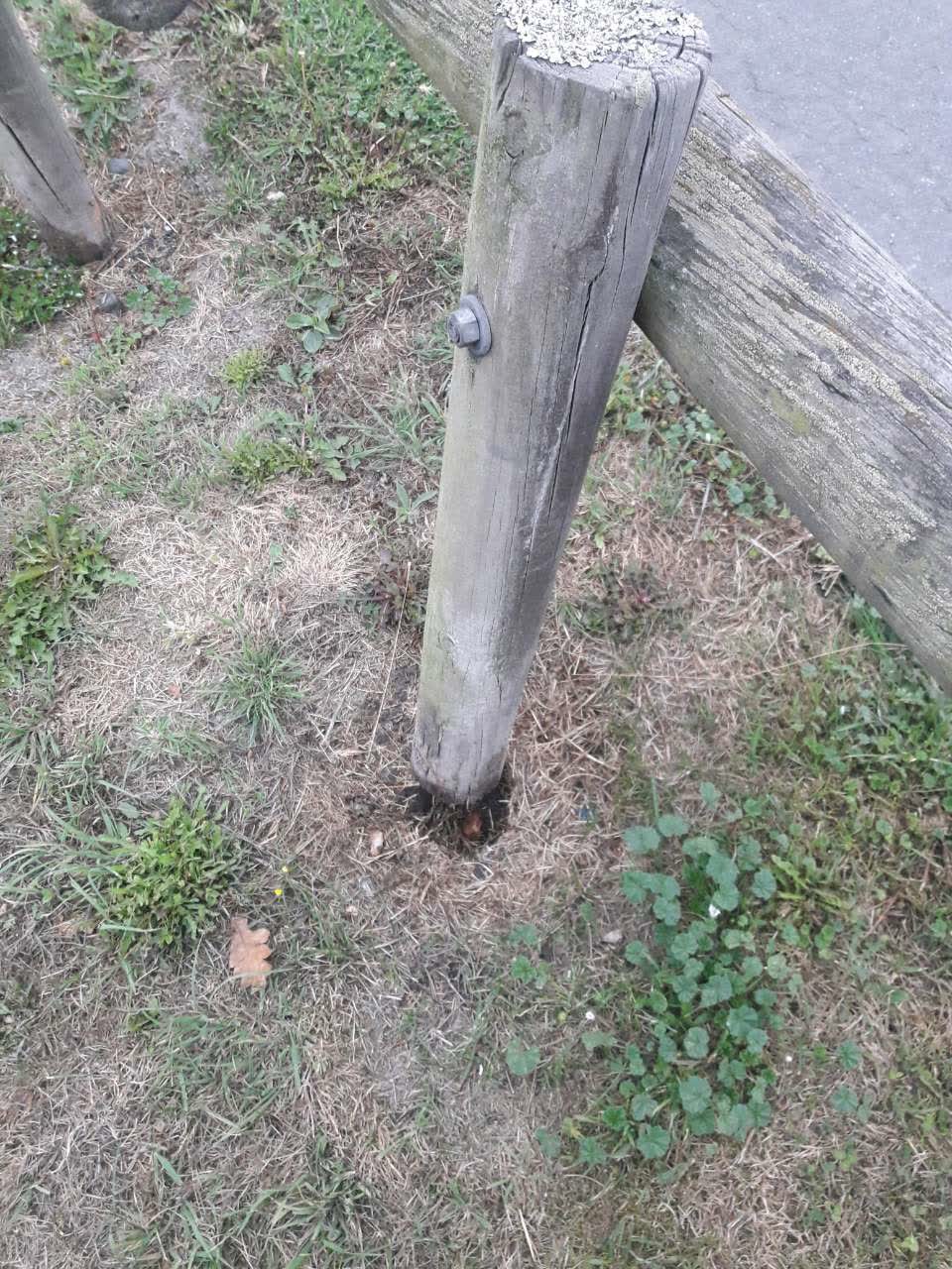 The photograph attached to this parks report