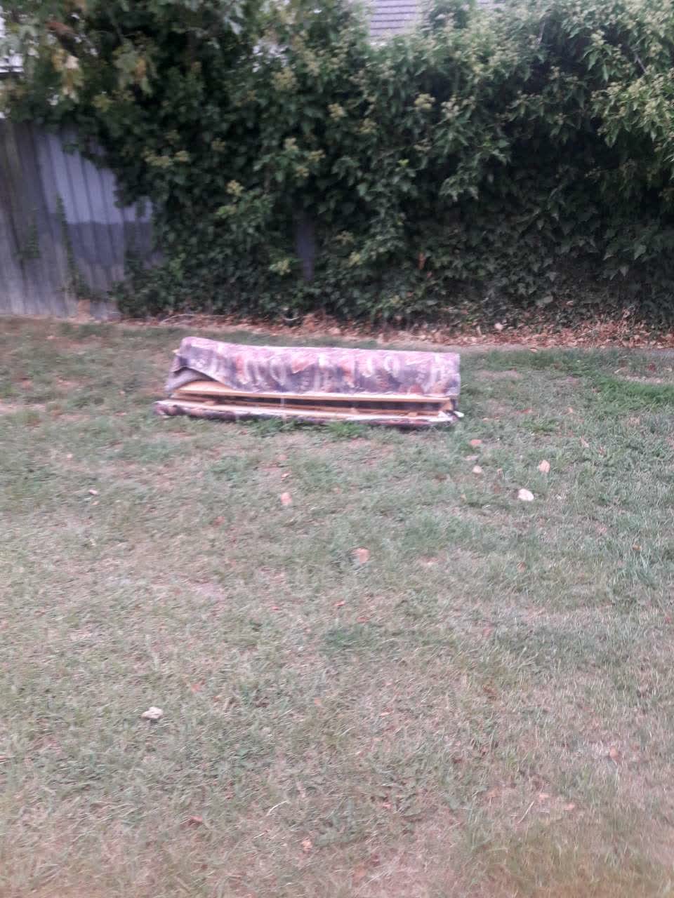 The photograph attached to this parks report