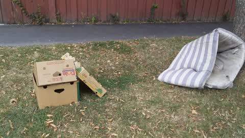 Rubbish/Recycling — a report photo